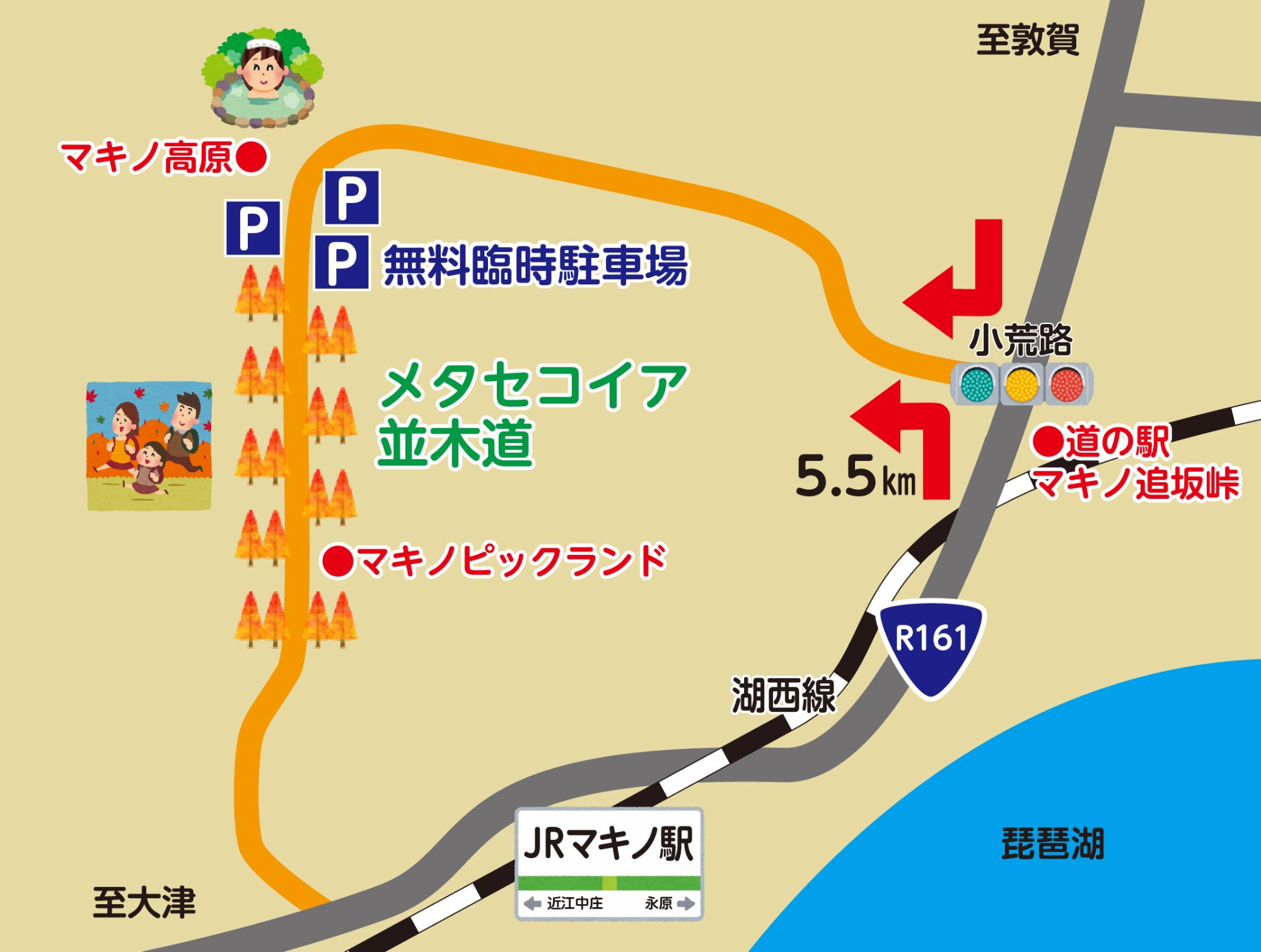 メタセコイア並木付近地図
