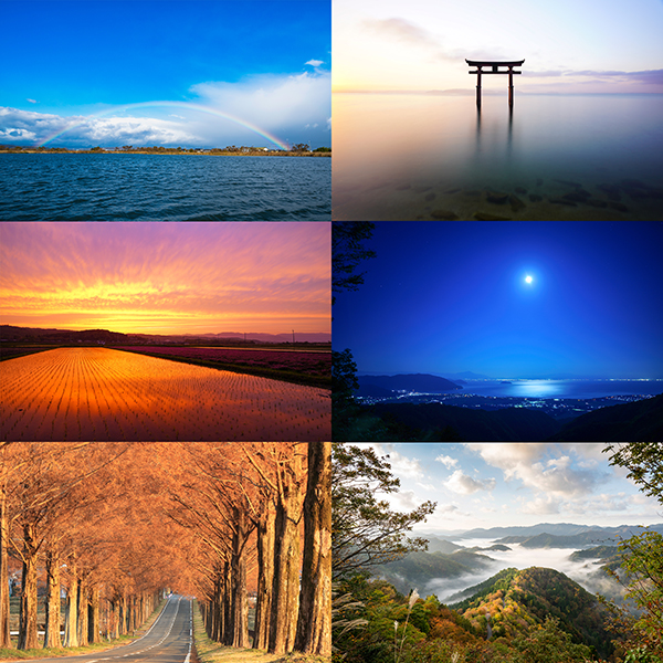 白鬚神社やメタセコイア並木などの高島市内の風景写真