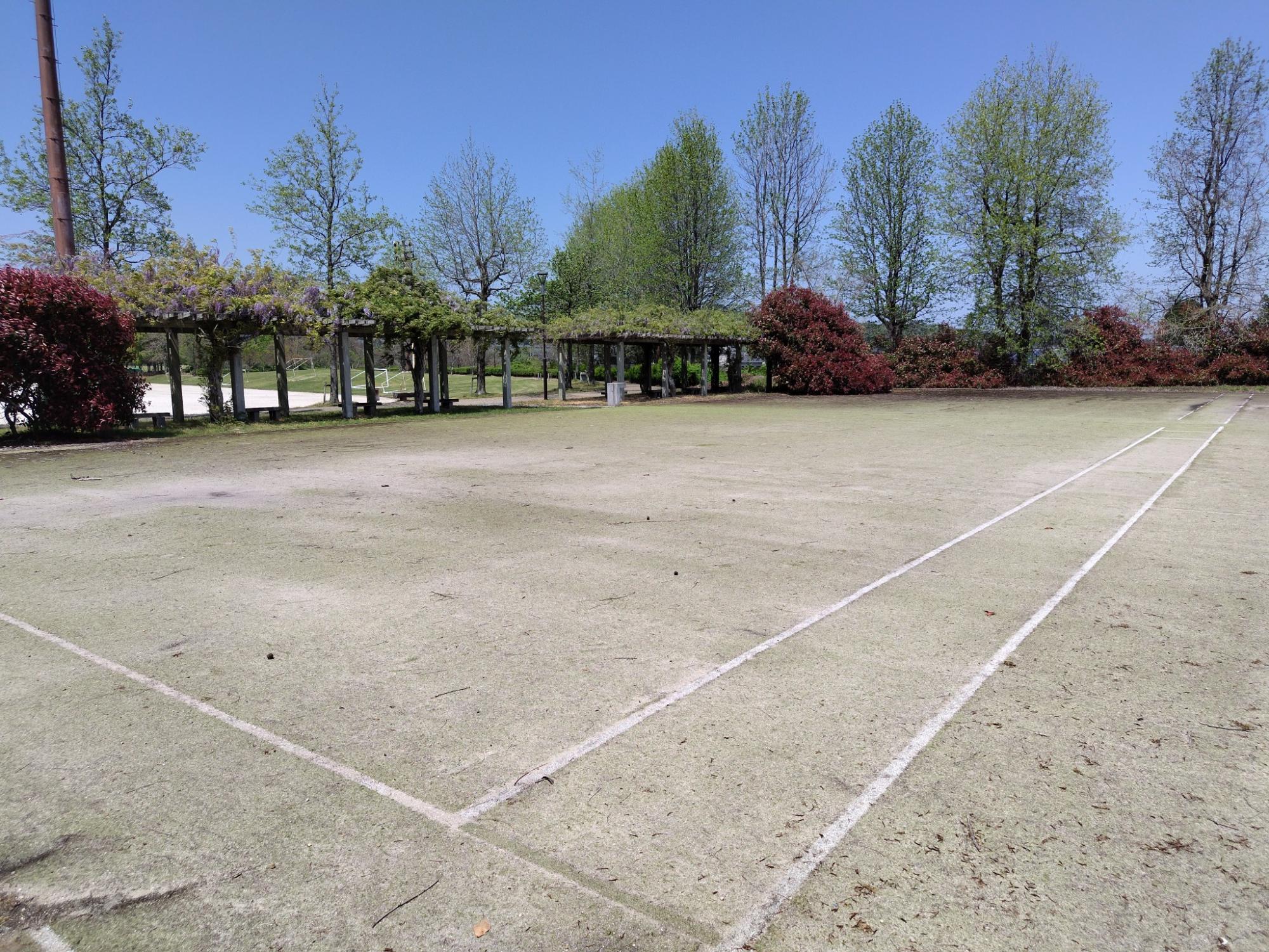 藤棚に隣接するゲートボール場を撮影した写真