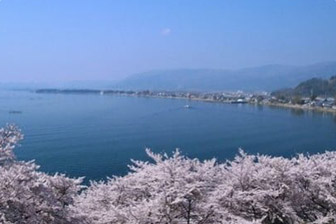 琵琶湖の湖畔と手前には満開のピンク色をした桜の木々がうつっている写真