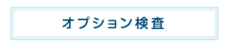 オプション検査