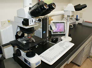 接眼レンズが2つついた顕微鏡と顕微鏡で確認される検体が映されたモニターの写真