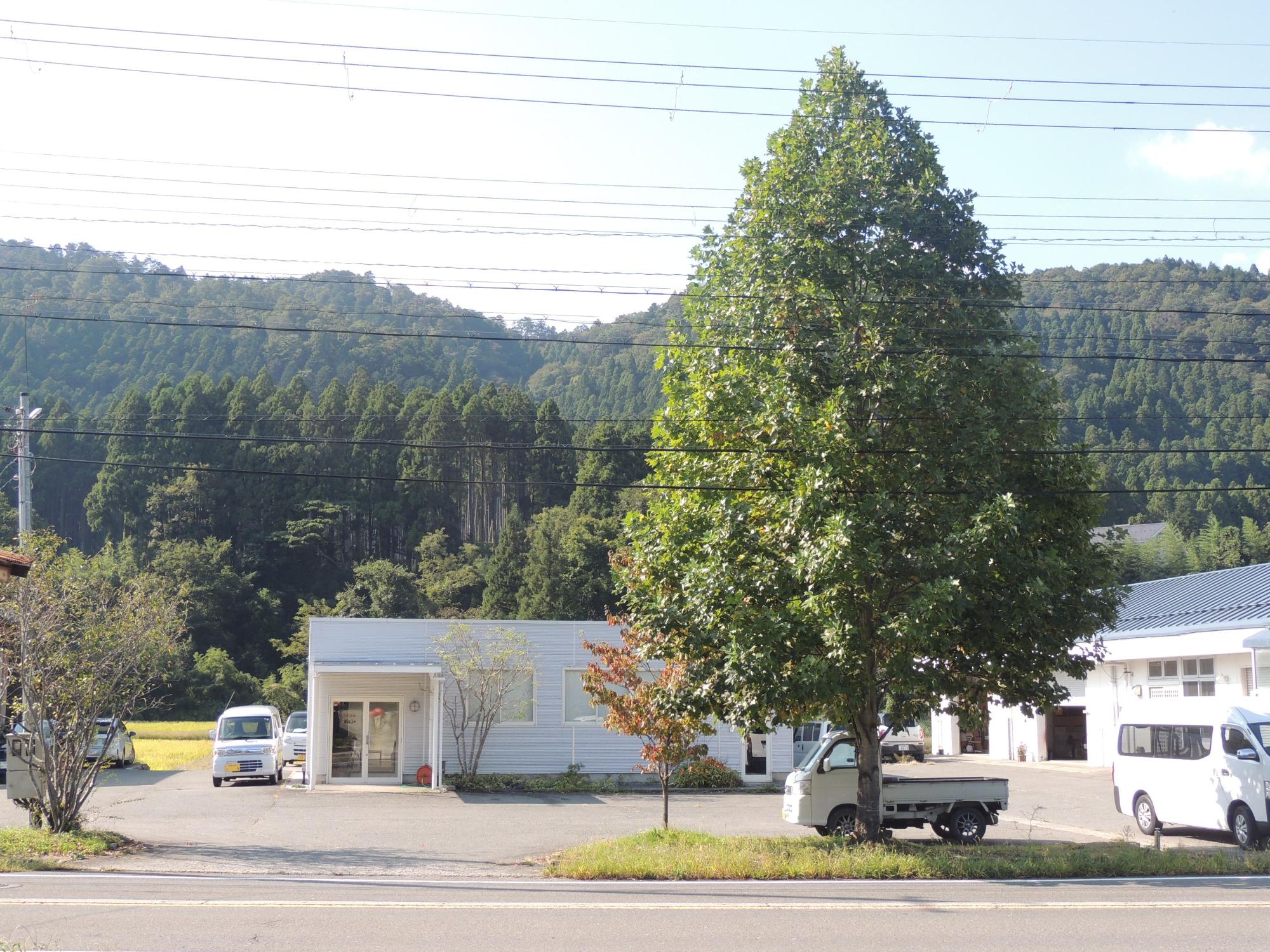 山の手前に建てられた1階建てのふくだぐみの本社、敷地内右側のミーティング室の建物外観の写真