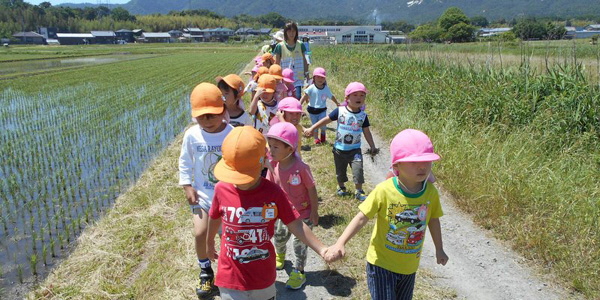 田んぼ道を手をつないで並んで歩く園児達と引率の先生の写真