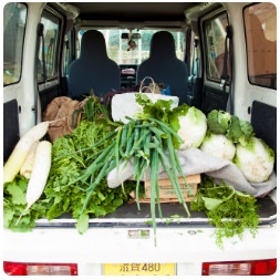 軽トラックの荷台に大根や白菜・ネギなどたくさんの野菜が積まれている写真