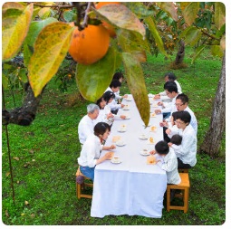 柿畑に置かれた白いテーブルクロスを敷いた長机で十数人が席につき柿を食べている様子を木になっている柿の実越しに撮影した写真