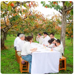柿畑に置かれた白いテーブルクロスを敷いた長机で十数人が席につき柿を食べている様子を横から撮影した写真