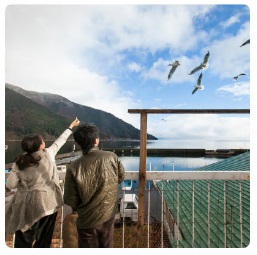 湖が見える家のベランダから飛んでいるゆりかもめに、手に持ったエサを差し出す山本さん夫妻の写真