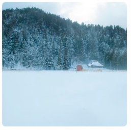 一面雪景色の奥に一軒の建物と雪を被ったたくさんの木が生えている写真