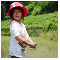 田んぼの中に立つ、手や服に泥を付けた赤い帽子をかぶっている女の子の写真