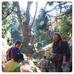 森に生えた大きな木の前に立つガイドの小松さんや散策中の参加者の方々の写真