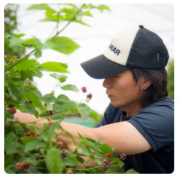 アドベリーを収穫するキャップを被った永田勝己さんの写真
