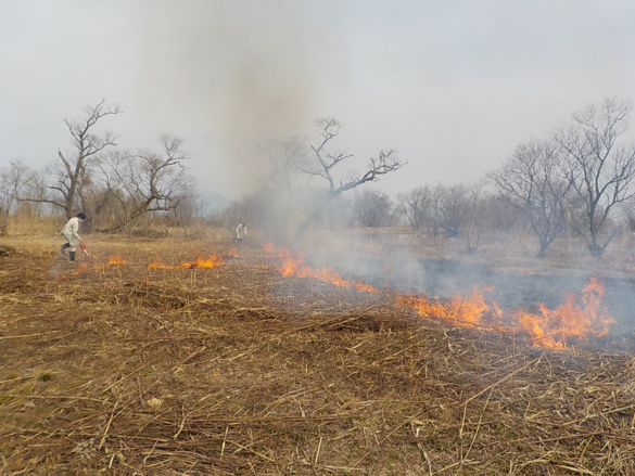過去の火入れ作業の写真