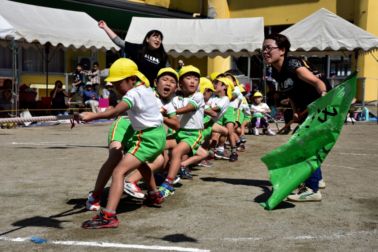 緑の旗をふり応援する先生、黄色の帽子に体操服を着た園児達が綱引きをしている運動会の写真