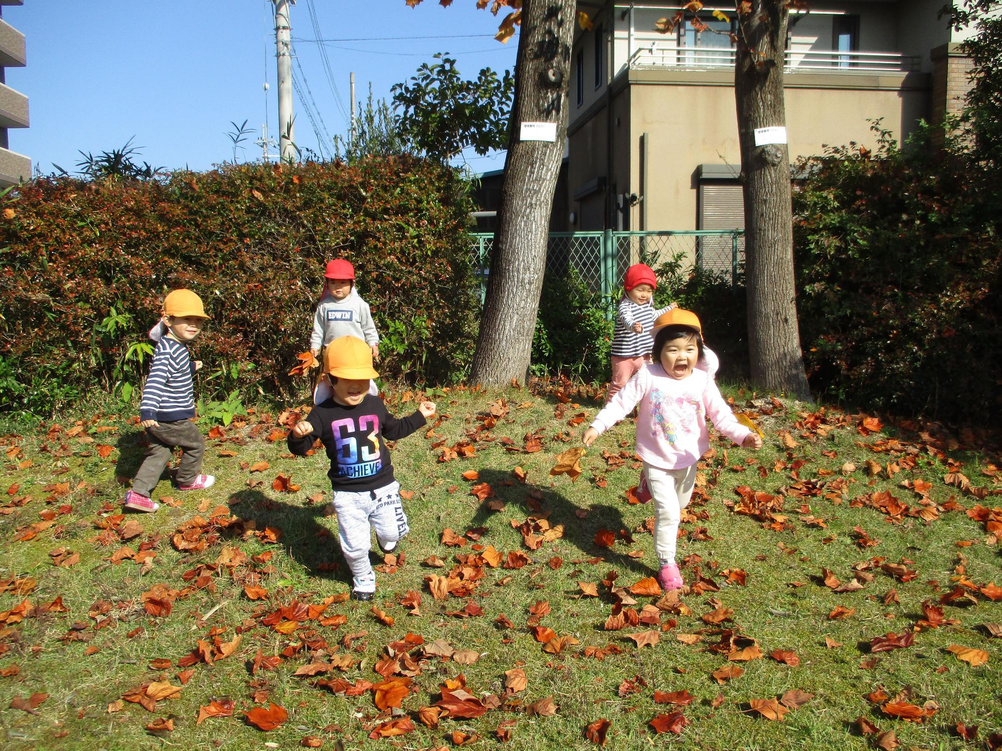 落ち葉の上を走り楽しそうに遊んでる園児達の写真