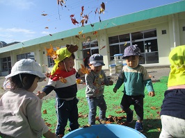タライに入った落ち葉をばらまいて遊ぶ園児達の写真