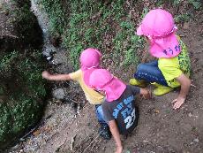 ピンクの帽子をかぶった園児3人が山の斜面を下っている写真