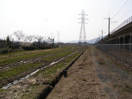 正面に電波塔、右側に高架橋、左側に芝生が続いている現地概要写真