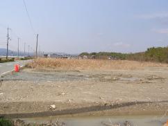 左側には道路、正面は砂利や枯草が生えた土地が続き奥に数件の建物が見える現地概要写真