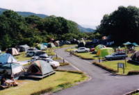 芝生の上にたくさんのテントが並んでいる様子を上から撮影した写真