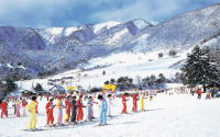 ゲレンデにスキーウェアを着た人たちが1列に並んでいる写真