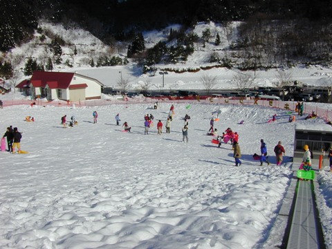 ソリでコースを滑る子供や広いゲレンデでたくさんの子供たちが遊んでいる様子の写真
