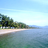 砂浜のから数メートルの位置に松の木が見えなくなるほど遠くまで並んで生えている様子を琵琶湖の浅瀬から撮影した写真