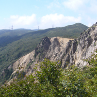 日本の花百名山「赤坂山」（マキノ）の写真