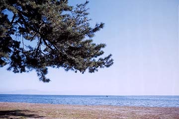 白浜の奥に水平線が写る萩の浜の写真