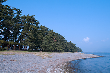 右手にびわ湖、左手に木々が立ち並ぶ萩の浜の写真