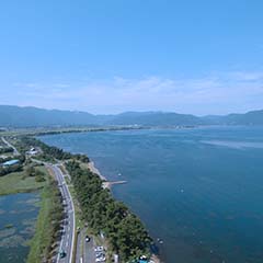 琵琶湖の岸ぞいに並ぶ松林を上空から撮影した写真