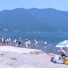 たくさんの海水浴客が砂浜や浅瀬で遊んでいるマキノサニービーチの写真
