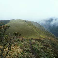 もやのかかった赤坂山の山頂の写真