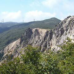 広い範囲で山肌が見える赤坂山 明王禿の写真