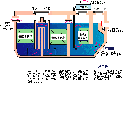 汚水（し尿と生活雑排水）から処理水（きれいな水）になるまでの浄化槽の構造図