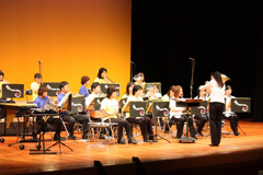指揮に合わせて黄色と紫色のシャツを着た人たちが演奏を行っている様子を左斜めから撮影した写真