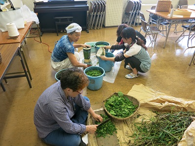 取ってきた草をまな板で刻んだり、ジューサーに入れてさらに細かくしている女性の作業を2名の女性の作業を子どもが見ている写真