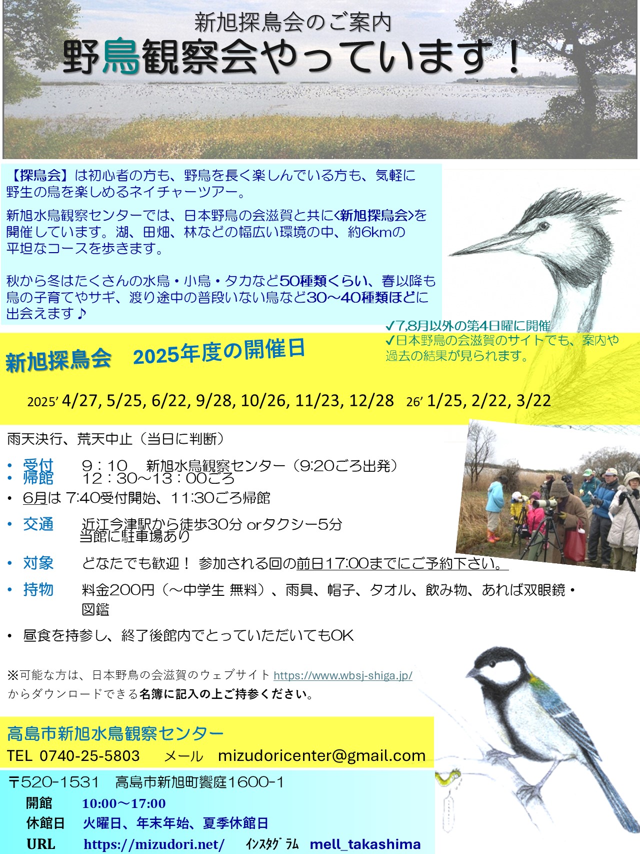 野鳥観察会チラシ