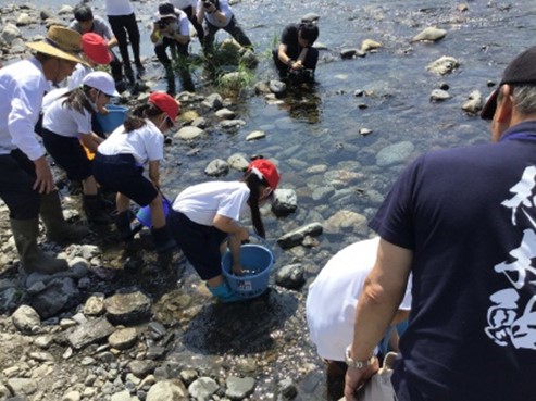 稚鮎の放流体験