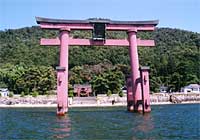 ピンク色の鳥居が湖中に立っている白鬚神社の写真