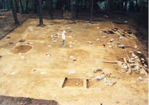 土が掘り起こされ出土した土器や、所々に大小の穴や溝がある清水山城主郭礎石建物跡の写真