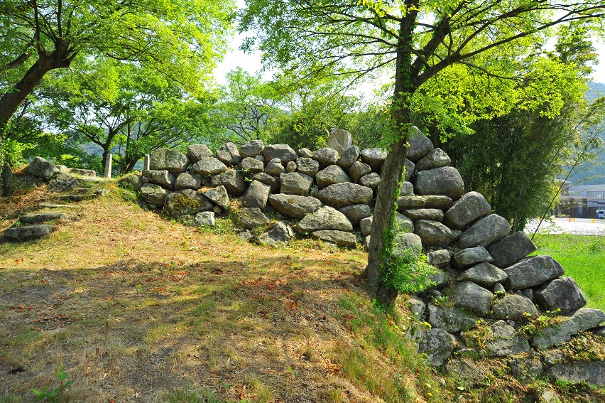 形の異なる石が積み重なった石垣が残ってる大溝城跡石垣の写真