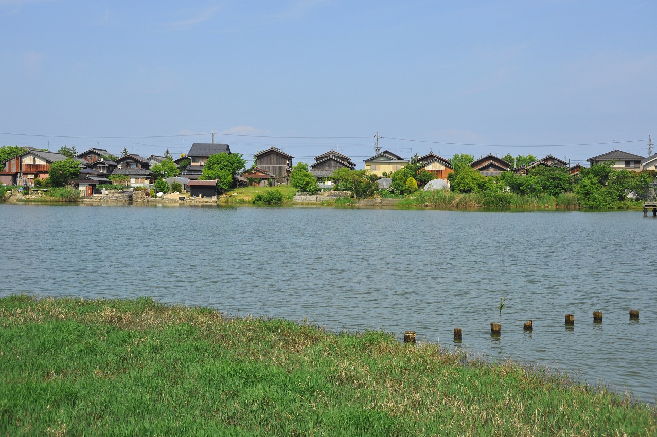 乙女ヶ池が広がり、後方に住宅が建ち並ぶ打下集落を写した写真