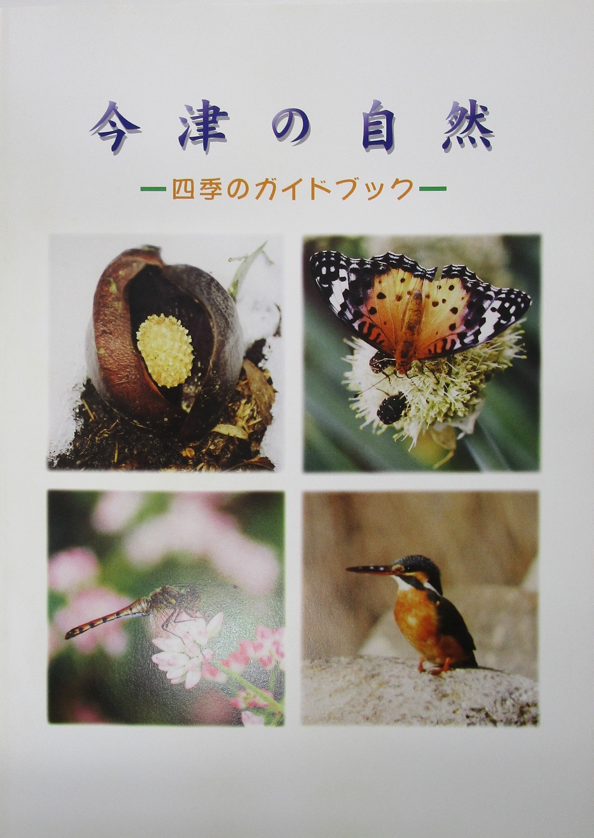 今津の自然