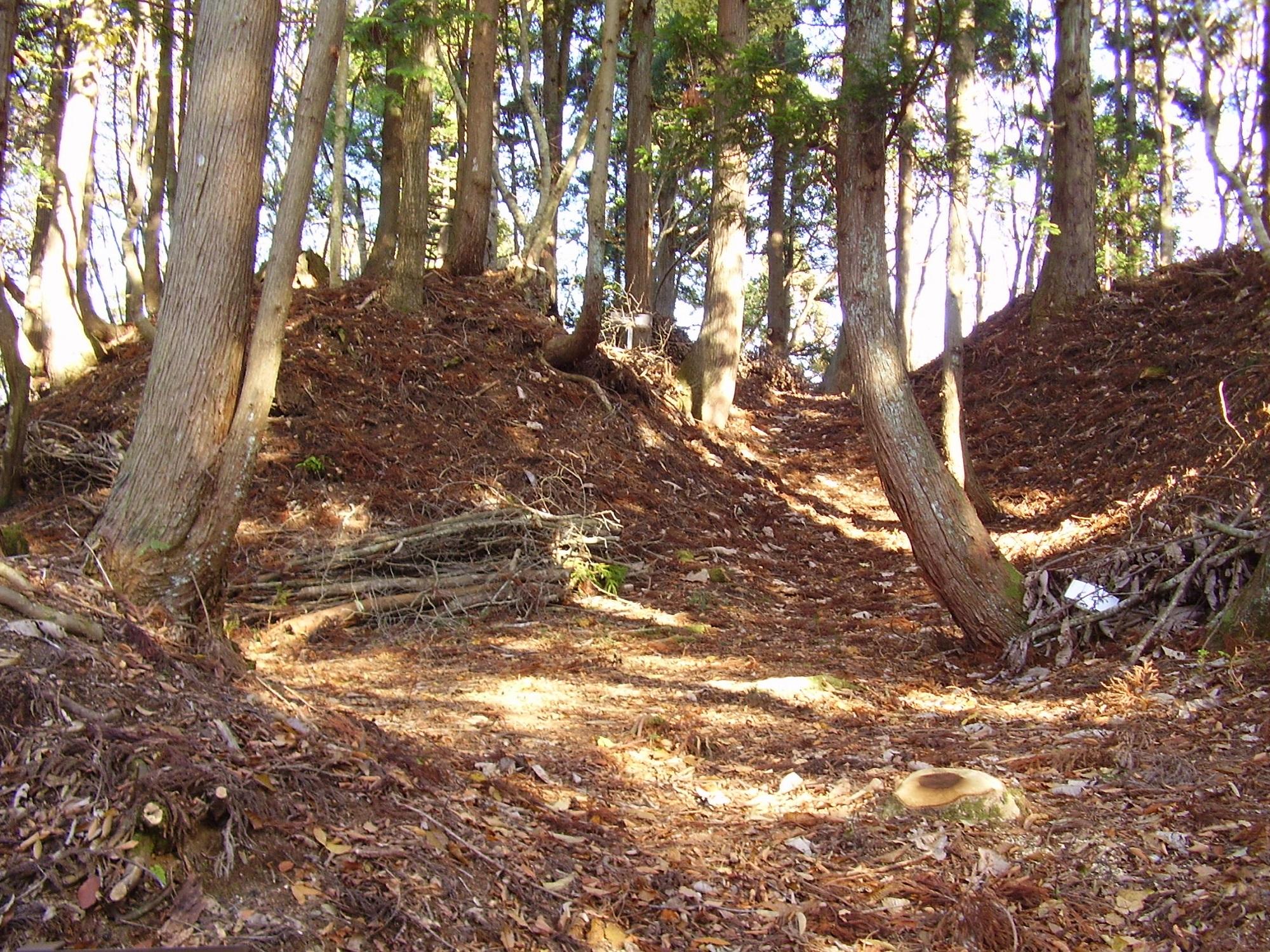 西山城址枡形虎口