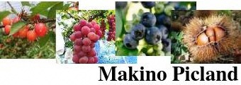 農事組合法人マキノ町果樹生産組合